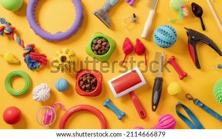 Pet care concept, various pet accessories, toys, balls, brushes on yellow background , flat lay
