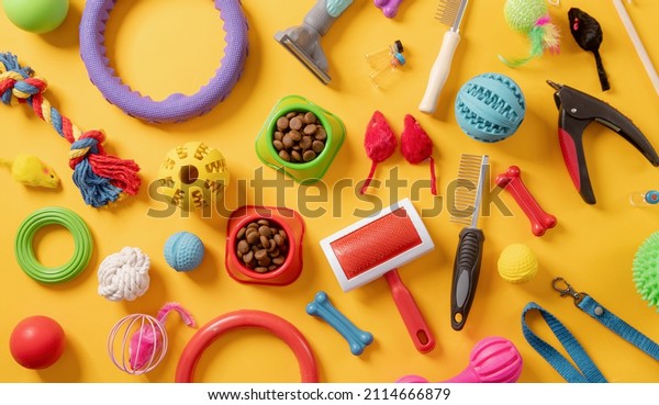 Pet care concept, various\
pet accessories, toys, balls, brushes on yellow background , flat\
lay