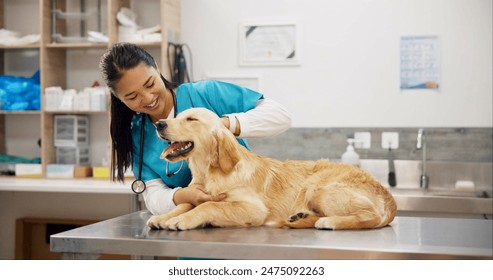 Pet care, stethoscope and dog with veterinary girl in consultation office for growth, wellness and examination. Puppy, inspection and animal clinic for golden retriever assessment, help or checkup - Powered by Shutterstock