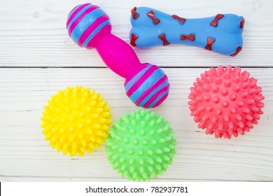 Pet care, veterinary, grooming concept. Pets having fun. Colorful rubber squeaky toys- balls and bones. Space for your text or product display.