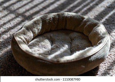 Pet Cat And Dog Bed Near Window In The Sun