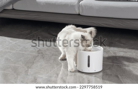 Pet cat drinking water using automatic water dispenser, pet life with technology, indoor scene