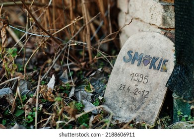 Pet Cemetery. Dog's Tombstone. Grave. 