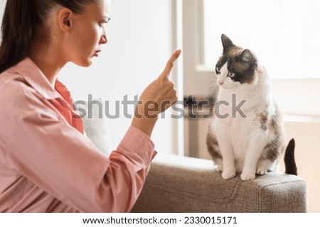Pet Discipline. Young Lady Points A Finger At Cat With Behavioral Problems At Home, Side View Shot. Feline Owner Having Issue, Punishing Domestic Animal. Selective Focus, Cropped
