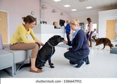 Pet Dog Owner With Nurse In Vet Surgery Waiting Room Reception