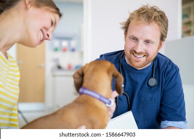 Pet Dog Owner In Vet Surgery Waiting Room Reception