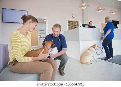 Pet Dog Owner In Vet Surgery Waiting Room Reception