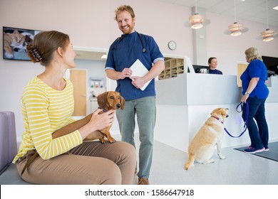 Pet Dog Owner In Vet Surgery Waiting Room Reception