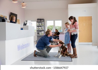 Pet Dog Owner With Vet In Surgery Waiting Room Reception