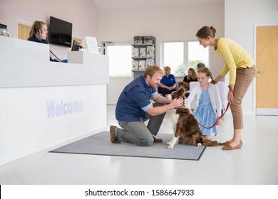 Pet Dog Owner With Vet In Surgery Waiting Room Reception