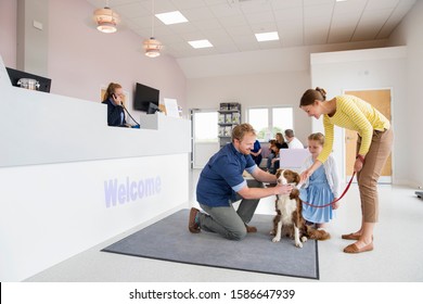 Pet Dog Owner With Vet In Surgery Waiting Room Reception