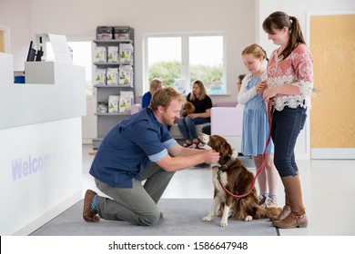 Pet Dog Owner With Vet In Surgery Waiting Room Reception