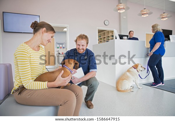 Pet dog\
owner in vet surgery waiting room\
reception