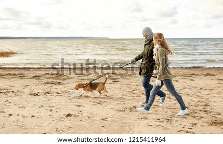 Similar – Strandhund