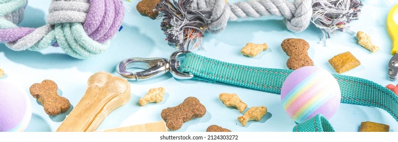 Pet Food And Accessories, Various Cat, Dog, Domestic Animals Food, Toys, Treats, Utensils. Zoomarket And Pet Store, Online Shopping, Pet Care Concept, Flatlay Banner Top View Copespace