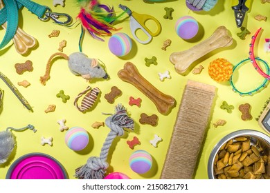 Pet Food And Accessories, Various Cat, Dog, Domestic Animals Food, Toys, Treats, Utensils. Zoomarket And Pet Store, Online Shopping, Pet Care Concept, Flatlay Banner Top View Copespace