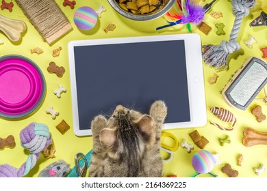 Pet Food And Accessories, Various Cat, Dog, Domestic Animals Food, Toys, Treats, Utensils. Zoomarket And Pet Store, Online Shopping, Pet Care Concept, Flatlay Banner Top View Copespace