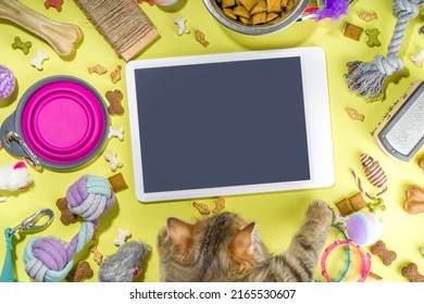 Pet Food And Accessories, Various Cat, Dog, Domestic Animals Food, Toys, Treats, Utensils. Zoomarket And Pet Store, Online Shopping, Pet Care Concept, Flatlay Banner Top View Copespace