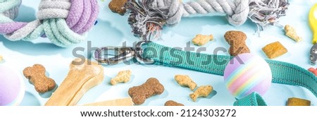 Pet food and accessories, various cat, dog, domestic animals food, toys, treats, utensils. Zoomarket and pet store, online shopping, pet care concept, flatlay banner top view copespace