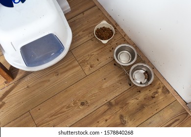Pet Food In A Food Bowl For The Cat With Litter Box In A House, Dirty And Surrounded With Food Needs Cleaning