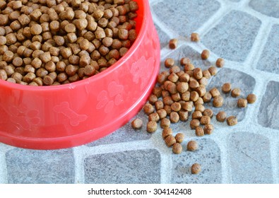 Pet Food In Red Bowl