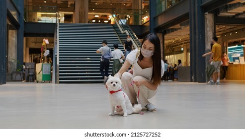 Pet Friendly shopping center with white pomeranian dog