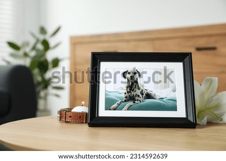 Pet funeral. Frame with picture of dog, collar, burning candle and lily flower on wooden table indoors