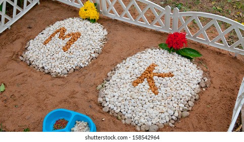 Pet Grave By The Sand.
