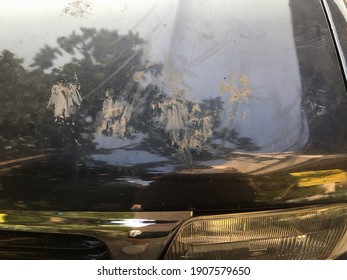 Pet Leaving Dirty Muddy Paw Prints On Car Hood.