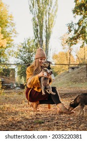 Pet Love. Volunteer Woman Plays With Homeless Puppies In The Autumn Park. Authentic Moments Of Joy Girl Playing With Stray Dogs. Concept Of Volunteering And Animal Shelters