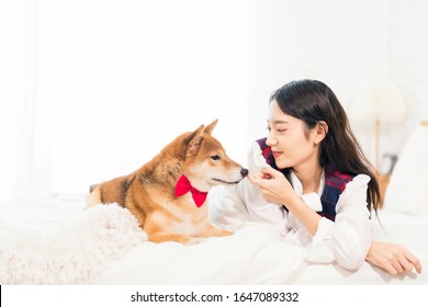 女性 犬 日本人 の画像 写真素材 ベクター画像 Shutterstock