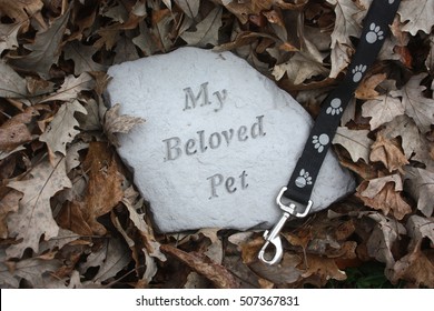 Pet Memorial Stone Surrounded By Fall Leaves