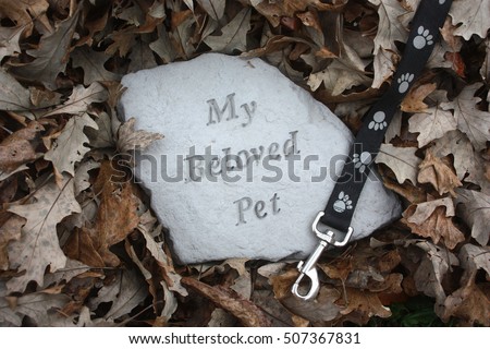 Pet Memorial Stone Surrounded by Fall Leaves