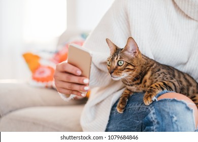 Pet And Owner Communication. Human And Animal Friendship. Girl Showing A Picture On The Phone To Her Cat.