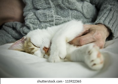 Pet Owner On Bed With Sleeping Cat Close Up