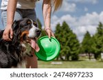 A pet owner plays fetch with their dog using a green flying disc in a park on a sunny day, bonding and having outdoor fun