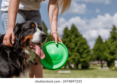 A pet owner plays fetch with their dog using a green flying disc in a park on a sunny day, bonding and having outdoor fun - Powered by Shutterstock