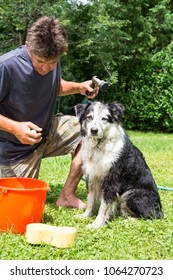 A Pet Owner Prepares To Was His Muddy Dog On A Summer Day