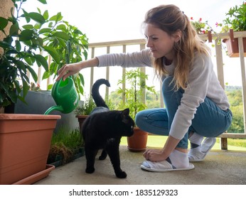 Pet owner in Terrace garden with cat. Young woman waters the plants in the terrace garden with her curious cat.