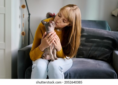 Pet parent woman holding little bald gray sphynx cat. Caregiving pet owner. Kitty sitting on lap. Home interior. Natural light. Horizontal, coppy space. Enjoying time with purebred animal