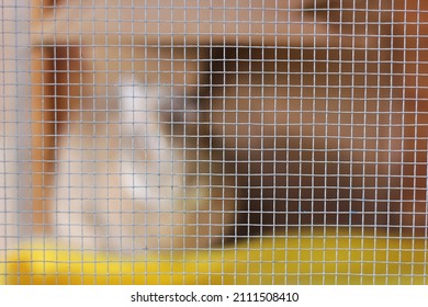 Pet Rabbit In An Animal Enclosure Behind A Wire Mesh Grid.