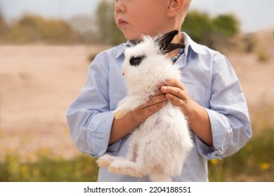 A Pet Rabbit In The Hands Of A Boy. Rabbit Park.