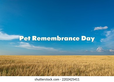 Pet Remembrance Day - Text, World Holiday And International (copy Space).