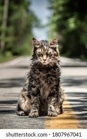 PET SEMATARY, From Paramount Pictures.