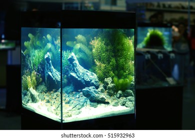 Pet Shop Aquarium
