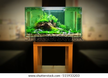Pet shop aquarium