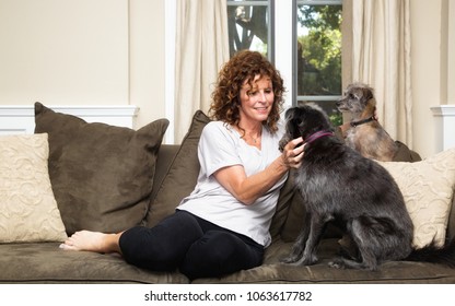 Pet Sitter Or Dog Owner On A Couch In An Upscale Home Giving Attention To Two Dogs Looking At Her