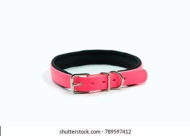 Pet supplies about rubber collar of pink for pet on white background.