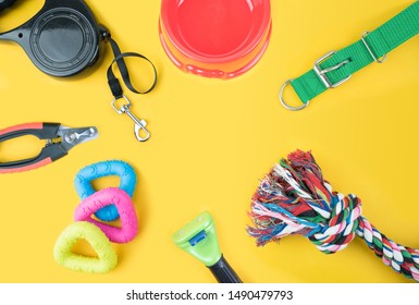 Pet supplies with copy space on yellow background