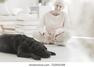 Pet Therapy Providing Woman With Cancer Distraction From Pain While Sitting On Carpet With Dog